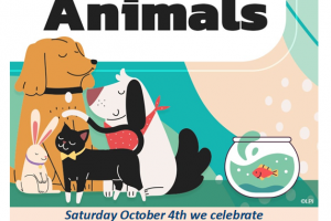 Blessing of animals – Saturday October 4, 2025 at 9:15am
